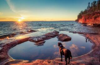 devil's island wave pool sunrise in the apostles with toby dewitt the black labrador who was the best old boy ever.