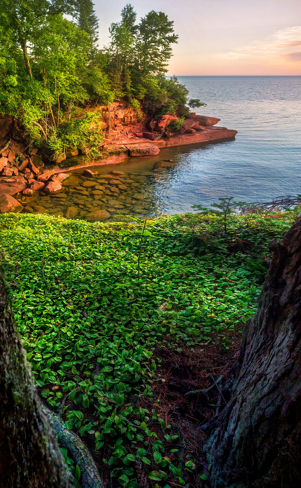 warm morning light  on sandstone cliffs with vibrant green undergrowth at the tip of cat island in the apostles.