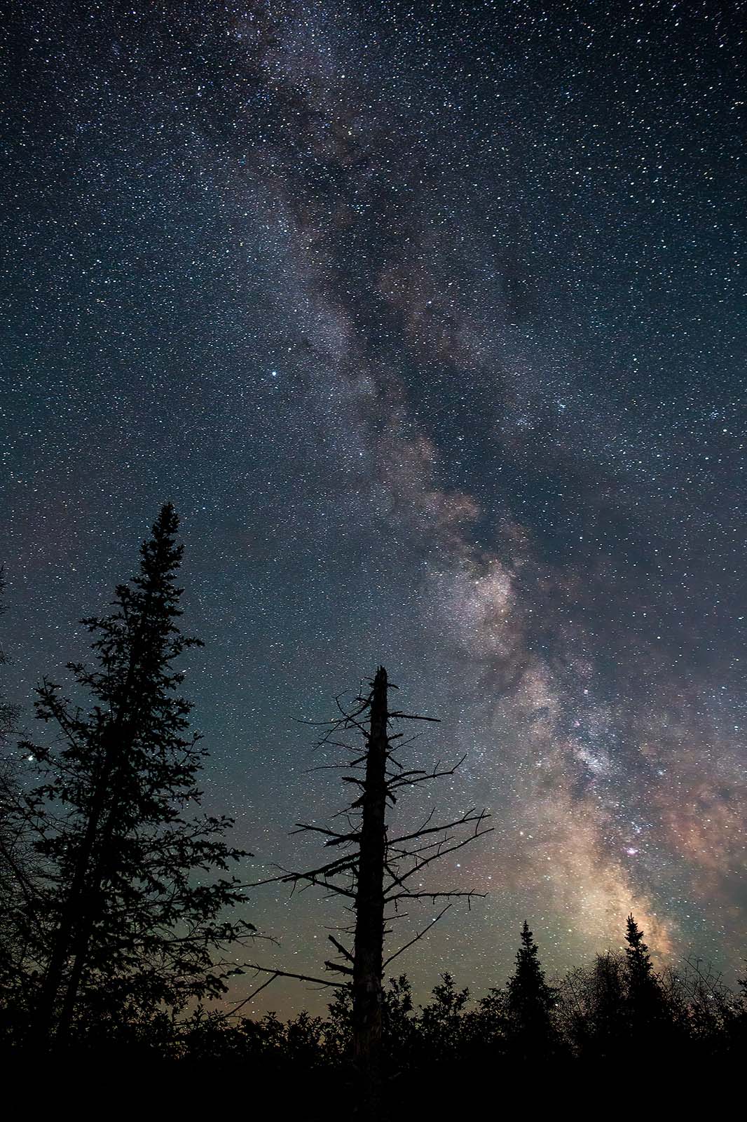 milky way rises over michigan island bog in the apostle islands on lake superior