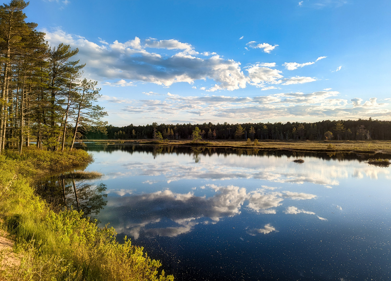 summer clouds reflecting in the stockton island bog at the apostle islands wisconsin